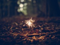 恋が残した痛みはもう私を苦しめない。今は幸せを支える土台になった