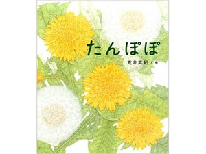 荒井真紀さんの絵本「たんぽぽ」　じっくり観察すると見えてくる、生き物の面白さ