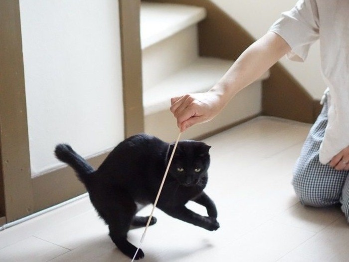 坂本さんと遊ぶ墨