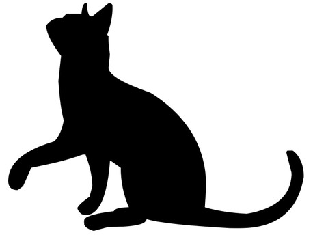 ネコにエサやり中の女性の胸をわしづかみ！？　強制わいせつの疑いで男を逮捕