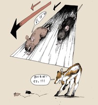 キツネからの逃走に成功する　（胡桃さんの提供）