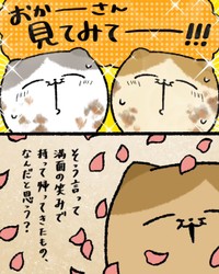 【漫画】『母のために持ってきたモノ』7（ゆう｜ノープロブレムキャットさん提供）