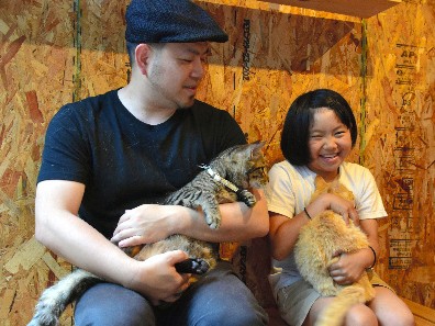 旅館の庭にコンテナで保護猫たちの居場所　増築めざし寄付募集