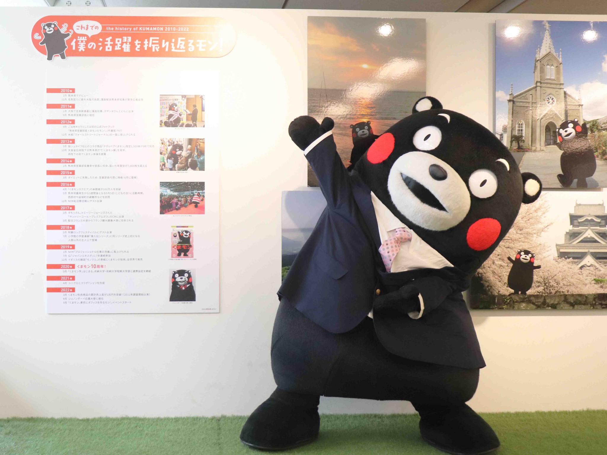 A雷切 Aglaonema pictum LA0914-3ss モンモン 雷切 LA0914-3ss