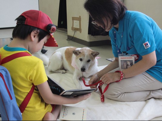 子どもが、犬に本を読み聞かせ　「R.E.A.D プログラム」