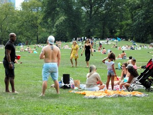 18世紀に誕生した「人種の区分」が今も余波　「共通性」や、調査の先の「政策」も重要