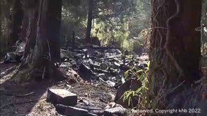 住宅１棟全焼　焼け跡から１人の遺体　宮城・栗原市