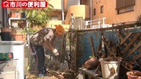 フェンスに絡みついたツタを1本ずつ除去／市川の便利屋さん（@ichikawanobenriya）提供