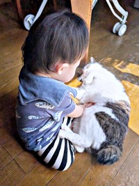息子さんにマッサージされるローズちゃん。このあと深い眠りのなかへ（画像提供：だいちゃんさん）