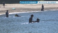 田の浦海岸　東かがわ市