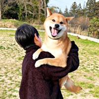 「抱っこして！」  わんこに驚いてお兄ちゃんに抱っこしてもらったいろりくん（画像提供：柴犬いろりさん）