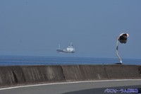 船が宙に浮いている！？／しゅうさん（@busforumshuu）提供