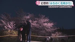 桜を幻想的にライトアップ　みちのく花明かり　宮城・みちのく杜の湖畔公園