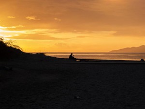 機が満ちるのを待つ。ありきたりな日常の中で、一歩ずつ歩みを進める。
