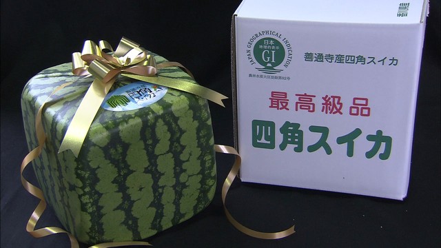 観賞用に人気「四角スイカ」出荷　地域ブランド保護のGI登録でマークも　香川・善通寺市