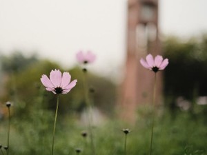 都心も良いけど、力が抜ける人たちに囲まれて一息つける三重も良い