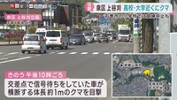 クマ目撃　仙台・泉区のショッピングモール近く　宮城・石巻市の小学校では避難訓練を中止