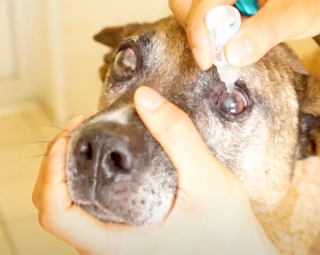 目の治療を受けることになりました