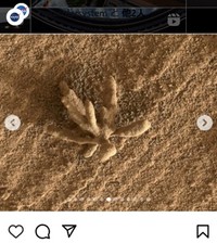 花のように見える鉱物の固まり＝NASAのインスタグラム＠nasaより