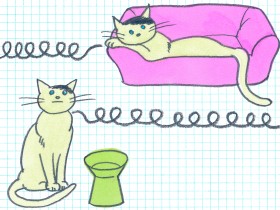 ネコはどんな時にゴロゴロとのどを鳴らす？　ゴロゴロ音にも違いがある！？