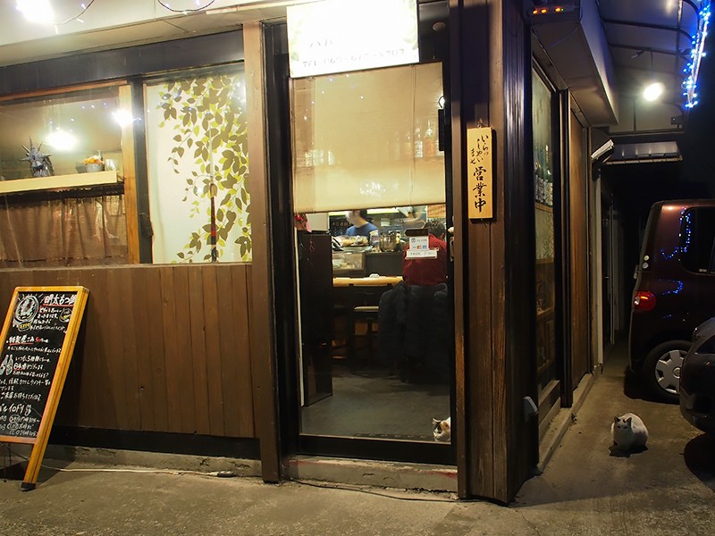 何軒かで面倒を見てもらっているこの路地猫が母猫