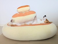 飼い主さんの次なる望みは「一番上に本物の北海道チーズ蒸しケーキを置くこと」なのだそう（飼い主さん）（画像提供：こまち@彩さん）