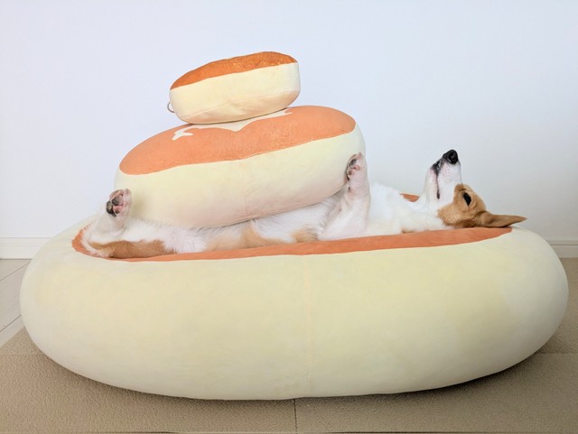 飼い主さんの次なる望みは「一番上に本物の北海道チーズ蒸しケーキを置くこと」なのだそう（飼い主さん）（画像提供：こまち@彩さん）