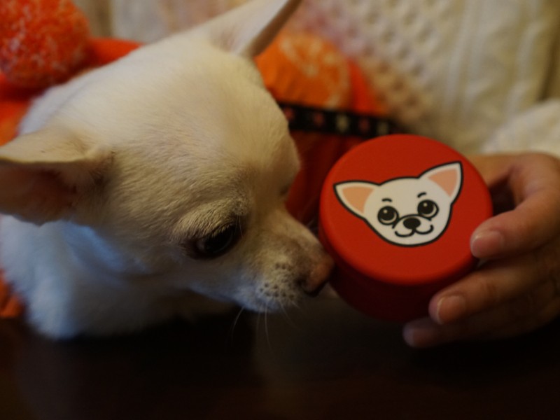 「私は知ってるの、このかんかんの中にもおやつがあること」