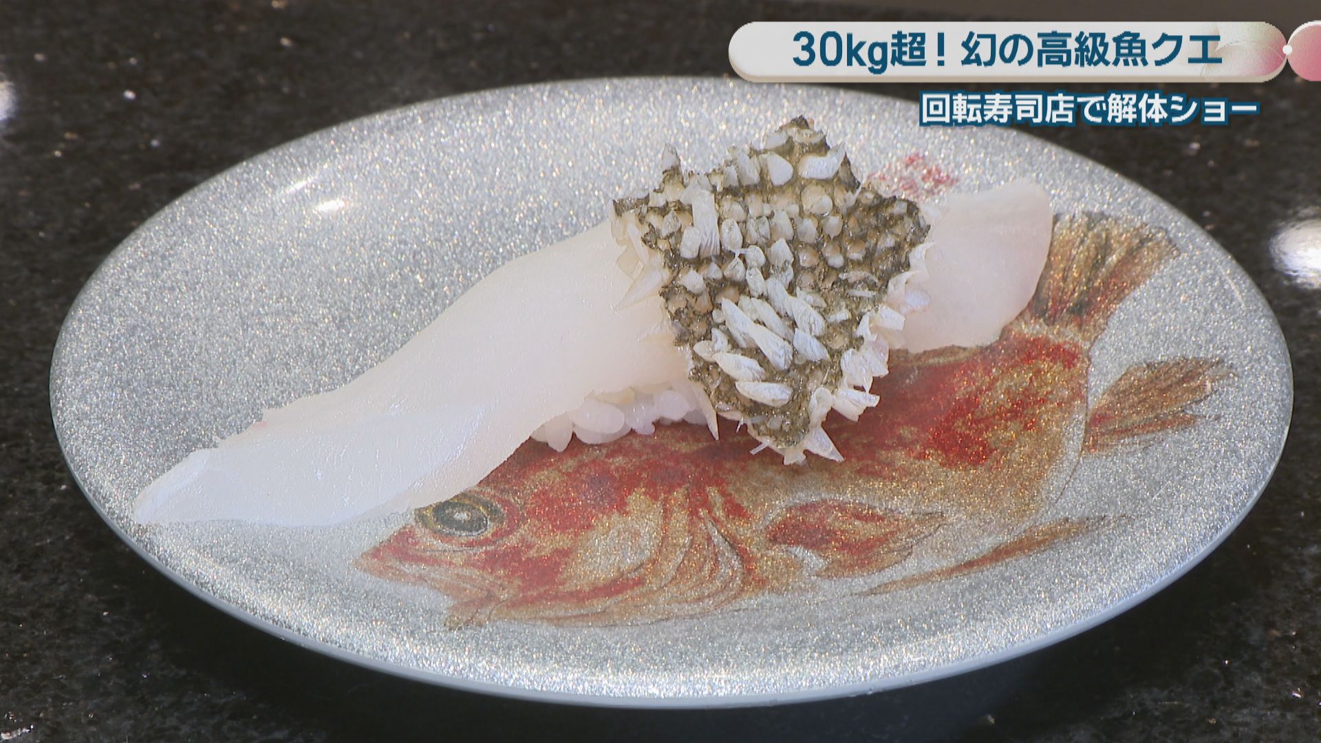 幻の高級魚” クエ 回転寿司店で解体ショー 30kg超…「別次元の大きさ