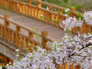 「あの人もこの景色、見たのかな」時代を超えて人々の考えに触れる喜び