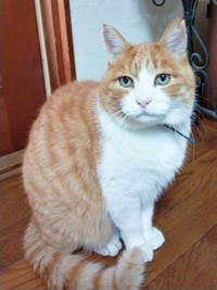 穏やかな表情が愛らしいナオくん（画像提供：ナオとフータさん）