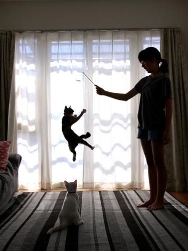 続いてスイのジャンプ！あチョー！（テクニック2）