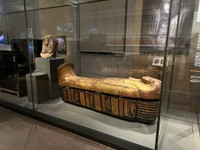 （有村元春さん提供）