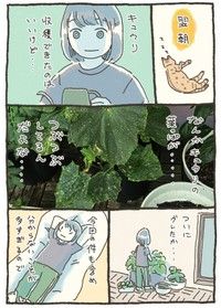【漫画】『家庭菜園 初収穫の話』9（おべちさん提供）