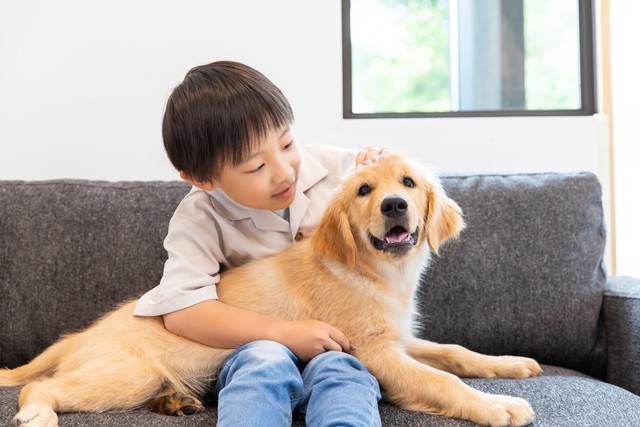 ペットとの別れに直面した人は、どのように悲しみと向き合っている？　※画像はイメージです（健二 中村/stock.adobe.com）