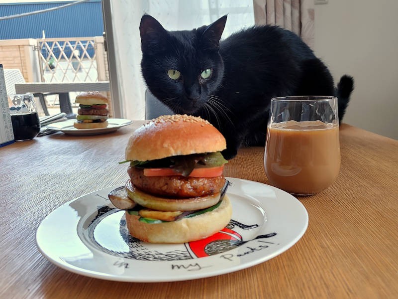 ナチュラルフードコーディネーターの資格取得へ勉強中のTOMOMIさん。てりやきソイベジバーガーも見事な出来栄え