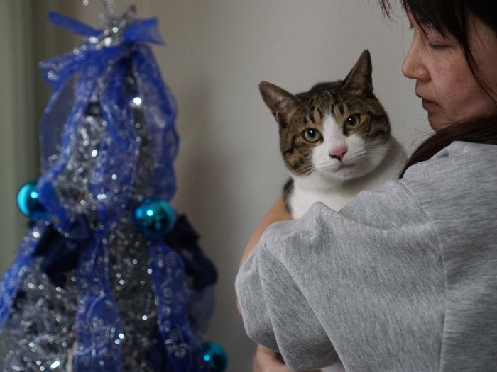 みんなで仲良く長生きしようね