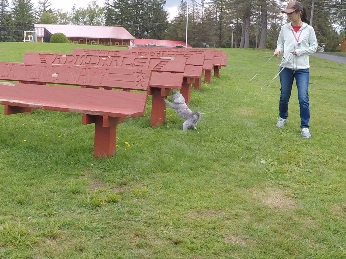 「ここ！」とにおいをピンポイントで探知する