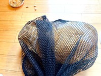 紆余曲折を経て保護することができたカランちゃん（画像提供：かもぴさん）