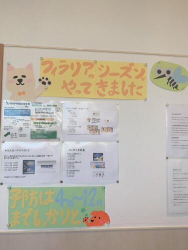 思わず読みたくなるようなディスプレーを工夫（ちかさん提供）