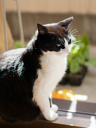 「ベランダの苗さ、早く畑に植えた方がいいと思うよ」（小林写函撮影）