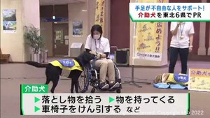 介助犬の普及を目指し東北キャラバン　宮城県庁で出発セレモニー