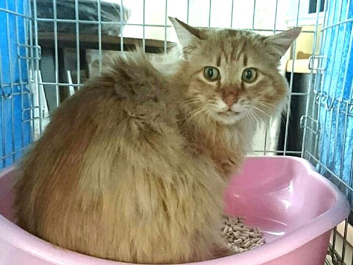 福田さん宅に来た日