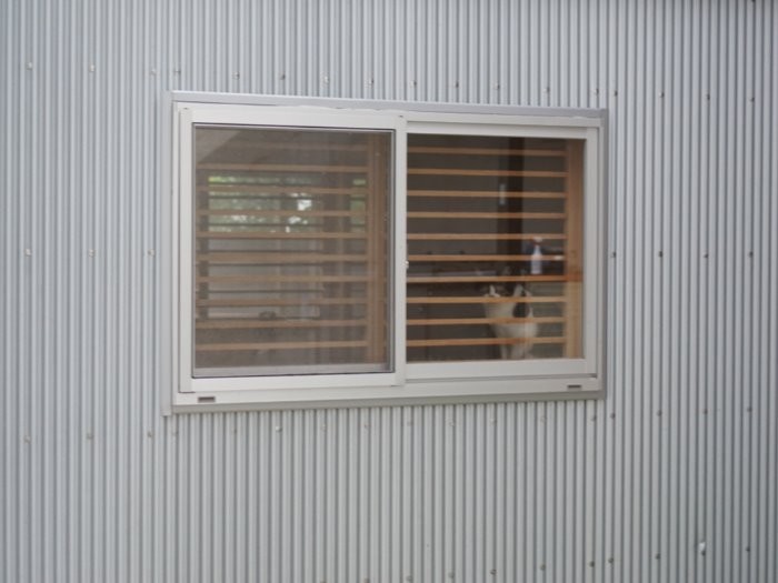 保護部屋の窓から外を覗く猫