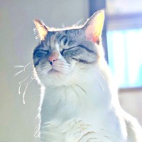 『横むんっ』な口元のルールーちゃん（画像提供：kaoruさん）