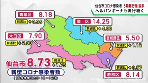 新型コロナは増加　ヘルパンギーナは減少　仙台市の感染者数