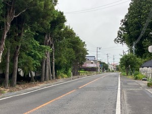 クマが住宅の倉庫に侵入しコメ袋持ち去る　住民にけがはなし　宮城・加美町