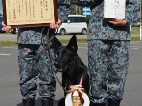 警備犬の「シシマル」に褒章状　北海道地震で不明者捜索