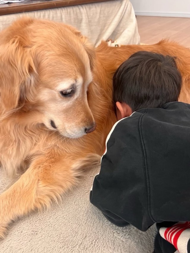 お友達と喧嘩した日。慰め上手なきなこ（きなこと三兄弟さん提供） 