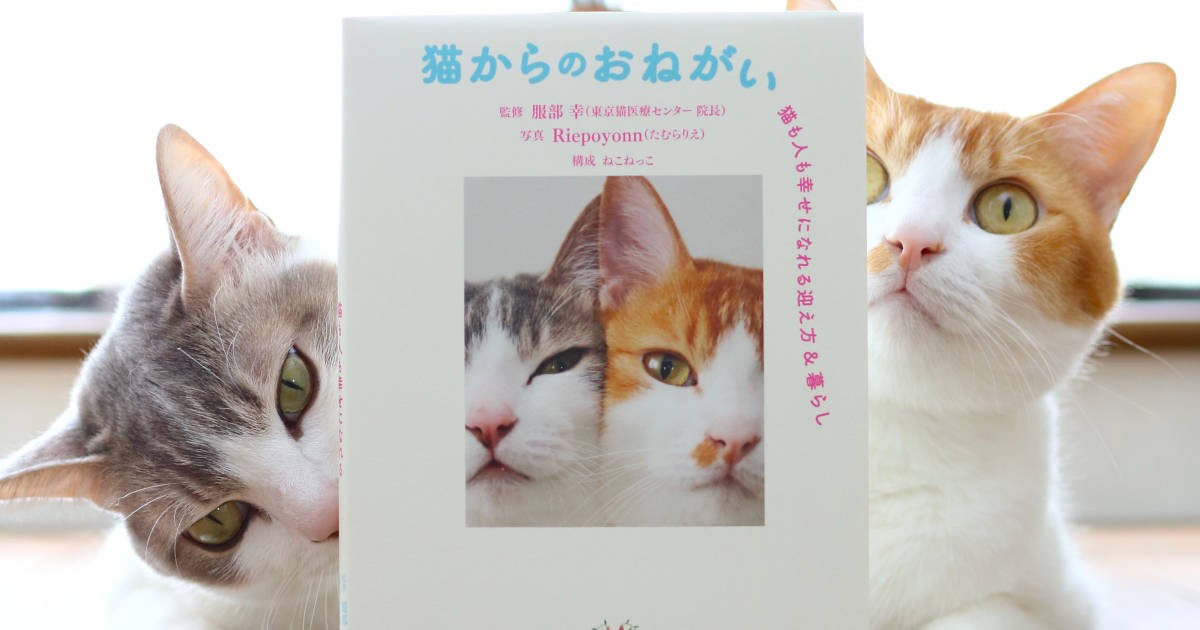 猫も人も幸せに 猫好きさんに知ってほしいことを詰め込んだ1冊 | 「犬